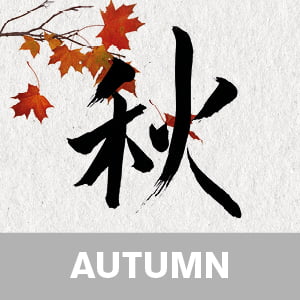 PRACTICAL ZEN YOGA for Autumn