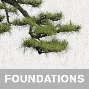 Practical Zen Yoga Foundations - video